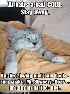 Sick Lolcat under blankets with the caption, Ai habs a bad Cold. Stay away. But first bwing meh sum books, sum snaks, Mr. Skweezy-Bear, and turn on da Tee-Bee.