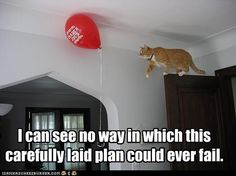 Cat  near ceiling, stalking a helium balloon, with the caption, I can see no way in which this carefully laid plan could ever fail