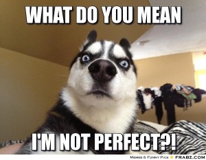 Surprised dog meme, with the caption, What do you mean I'm not perfect?