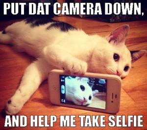 Cat with cell phone and the caption, Put dat camera down and help me take selfie