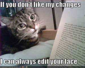 Cat with the caption, If you don't like my changes I can always edit your face