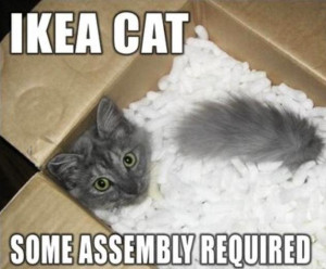 Cat in box with packing peanuts, and the caption, Ikea cat, some assembly required